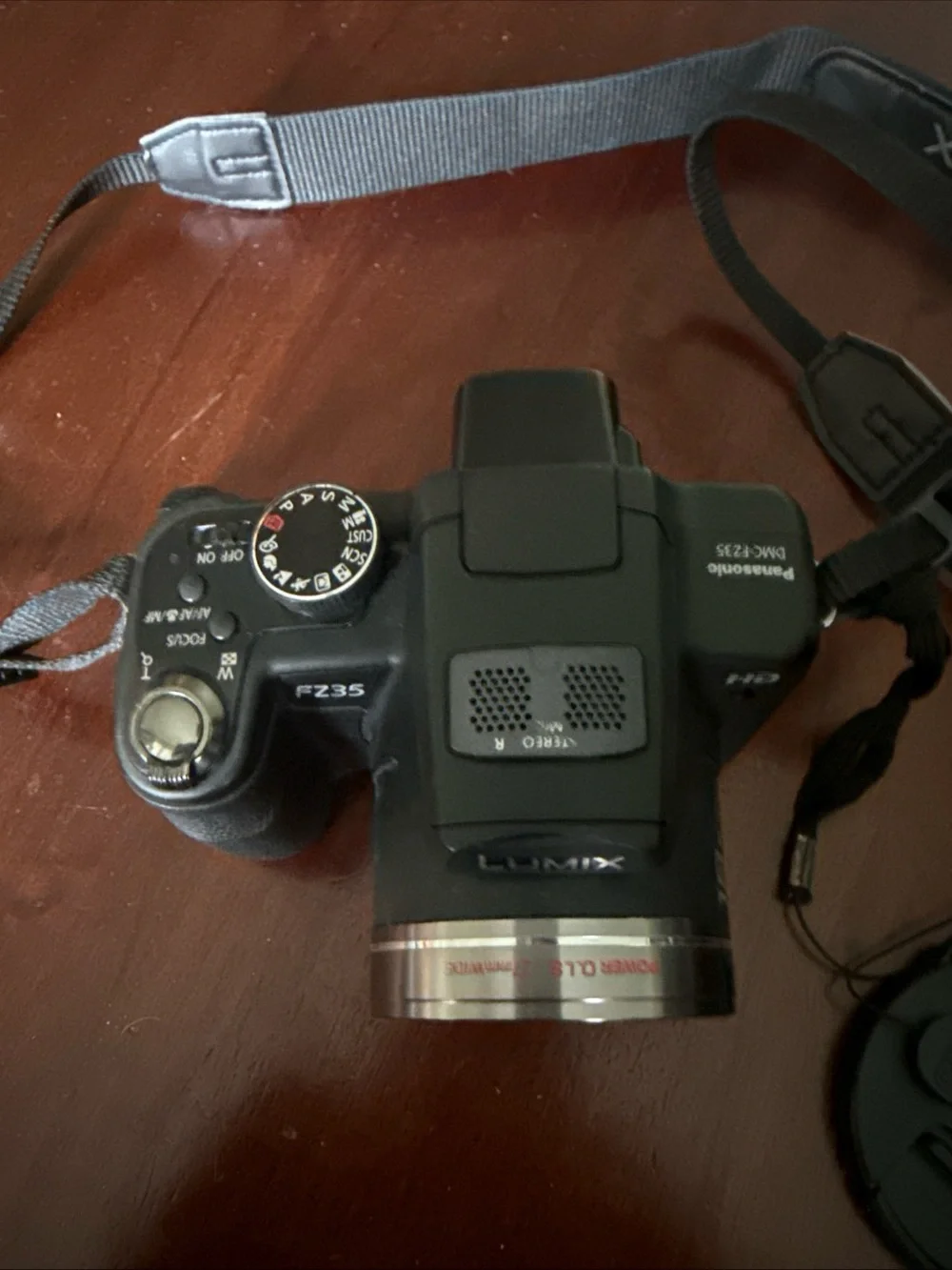 Panasonic compact bridge